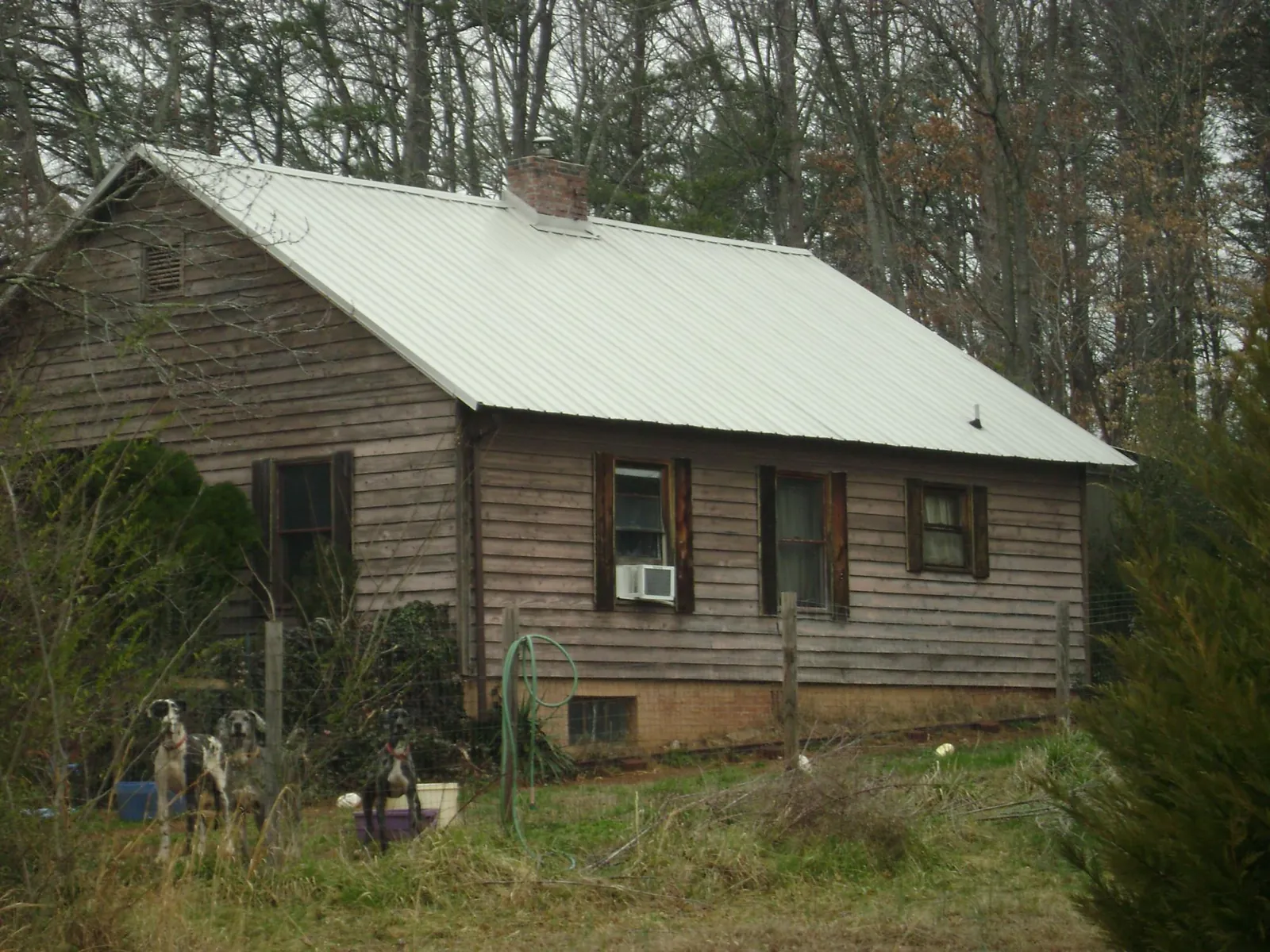 White metal roof on an old wood sided farmhouse, from a Asphalt Shingle Roof Repair job in Dundas